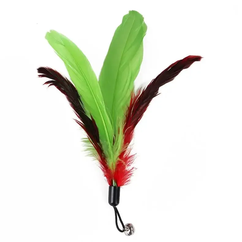 11-Piece Retractable Cat Feather Toy Set