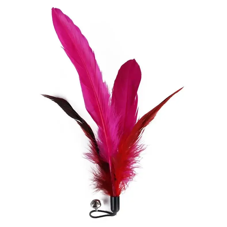 11-Piece Retractable Cat Feather Toy Set
