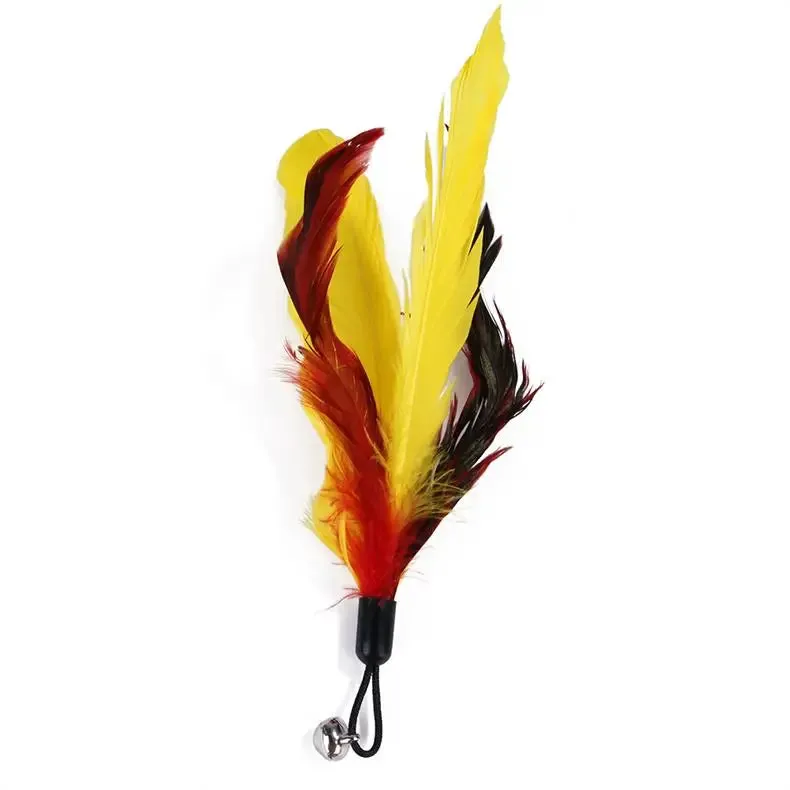 11-Piece Retractable Cat Feather Toy Set