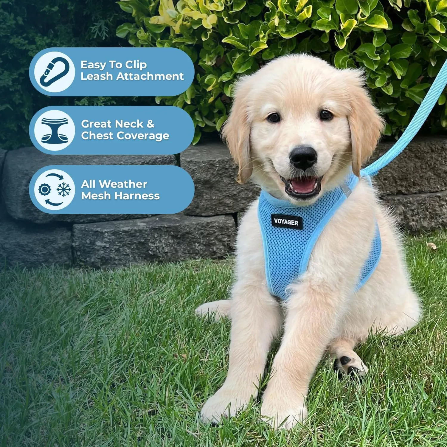 Best Pet Supplies - All Weather Mesh, Reflective, No Pull Harness for Small, Medium Dogs, Cats - Secure with Hook & Loop Fastener, Buckle, Double D-Rings - Baby Blue, M