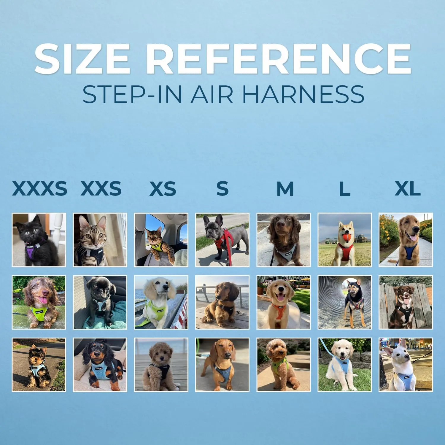 Best Pet Supplies - All Weather Mesh, Reflective, No Pull Harness for Small, Medium Dogs, Cats - Secure with Hook & Loop Fastener, Buckle, Double D-Rings - Baby Blue, M