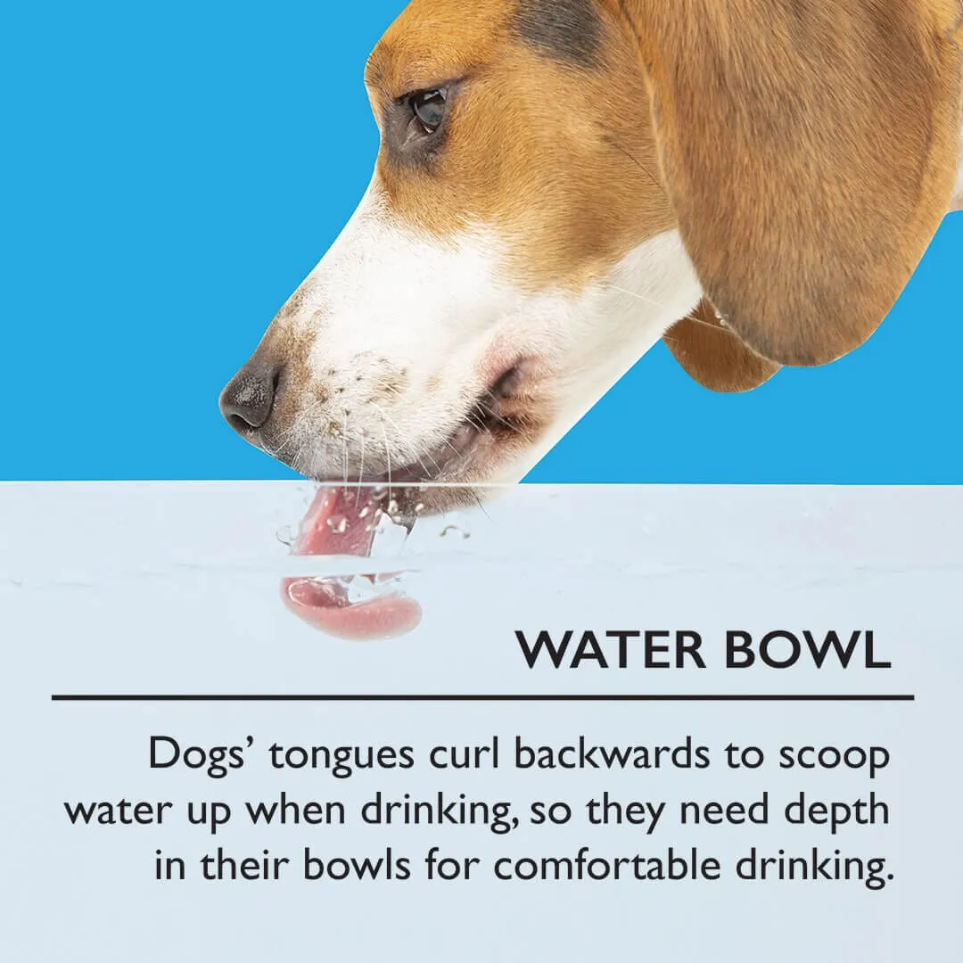 Classic 2 Piece Dog Slow Feeder & Water Bowl Set