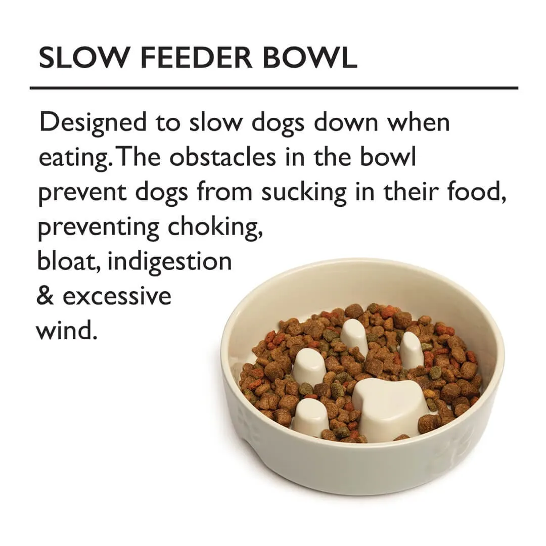Classic 2 Piece Dog Slow Feeder & Water Bowl Set