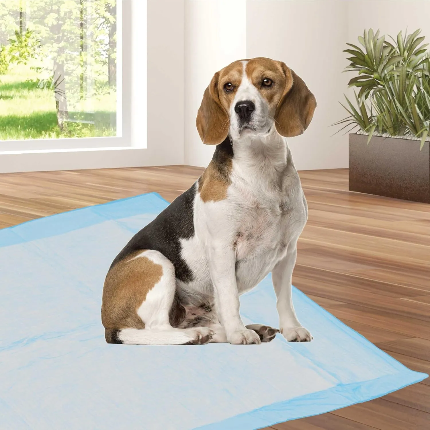 Cudlie Training Pads for Dogs, 30 Count ,26"x30"| Puppy Pee Pads for Dogs | Absorbent Dog & Puppy Supplies for Dog Training and House Training