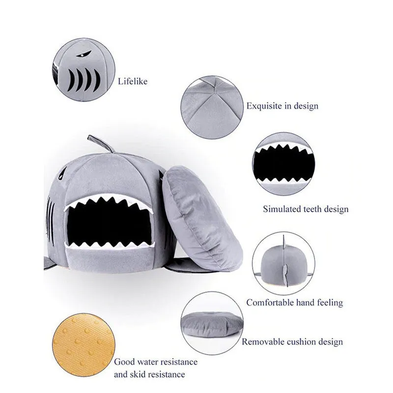 Dog House Shark