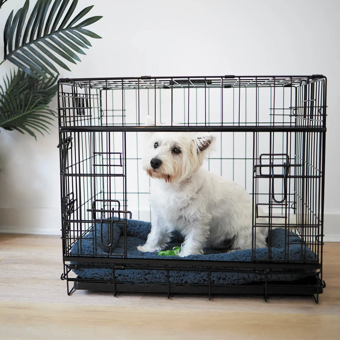 Everyday Pet Crate