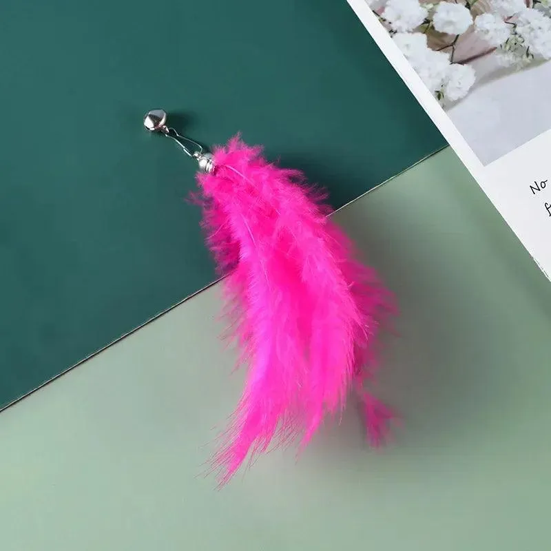 Feathers Cat Wand Toy: Pole & Attachments