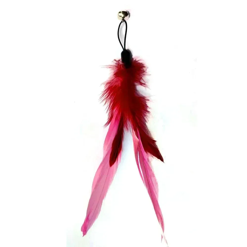 Feathers Cat Wand Toy: Pole & Attachments