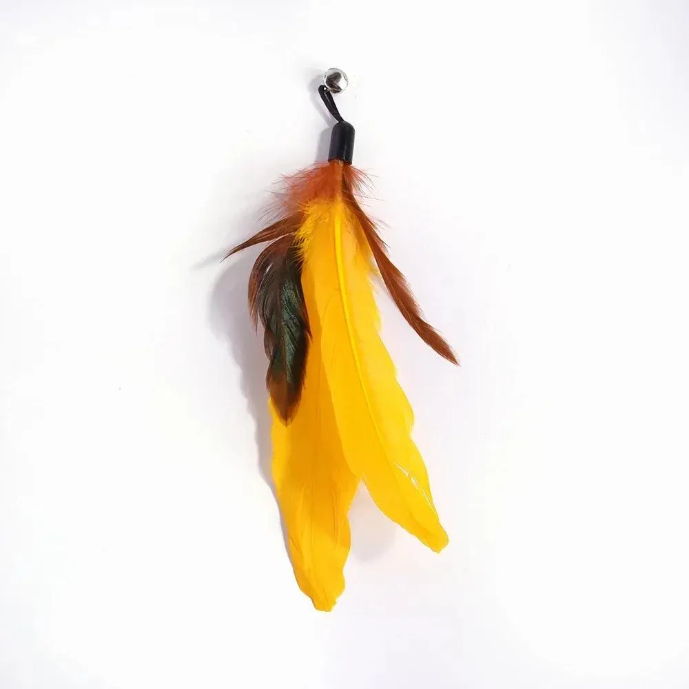 Feathers Cat Wand Toy: Pole & Attachments