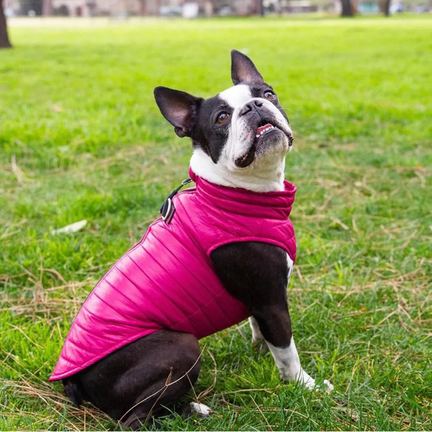 Gooby Puffer Vest Dog Jacket - Pink, X-Large - Ultra Thin Zip Up Wind Breaker with Dual D Ring Leash - Water Resistant Small Dog Sweater Coat - Dog Clothes for Small Dogs Boy or Medium Dogs