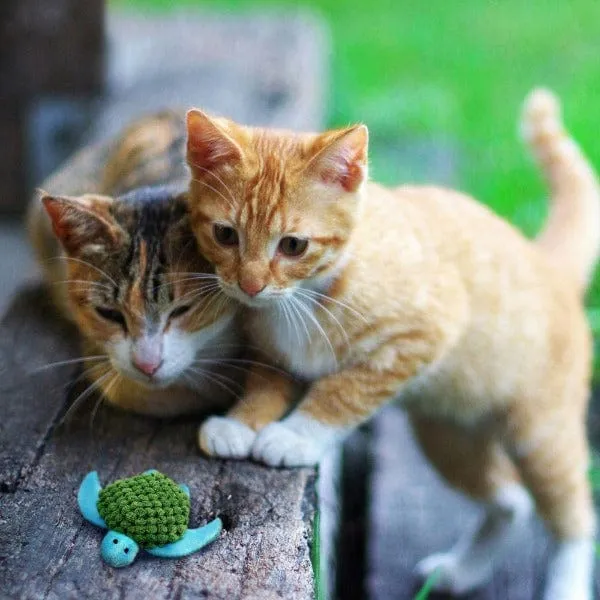KONG Refillables Turtle Cat Toy