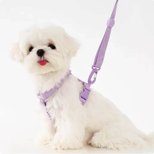 Macaron Pastel Halter H-harnesses and Leash Set
