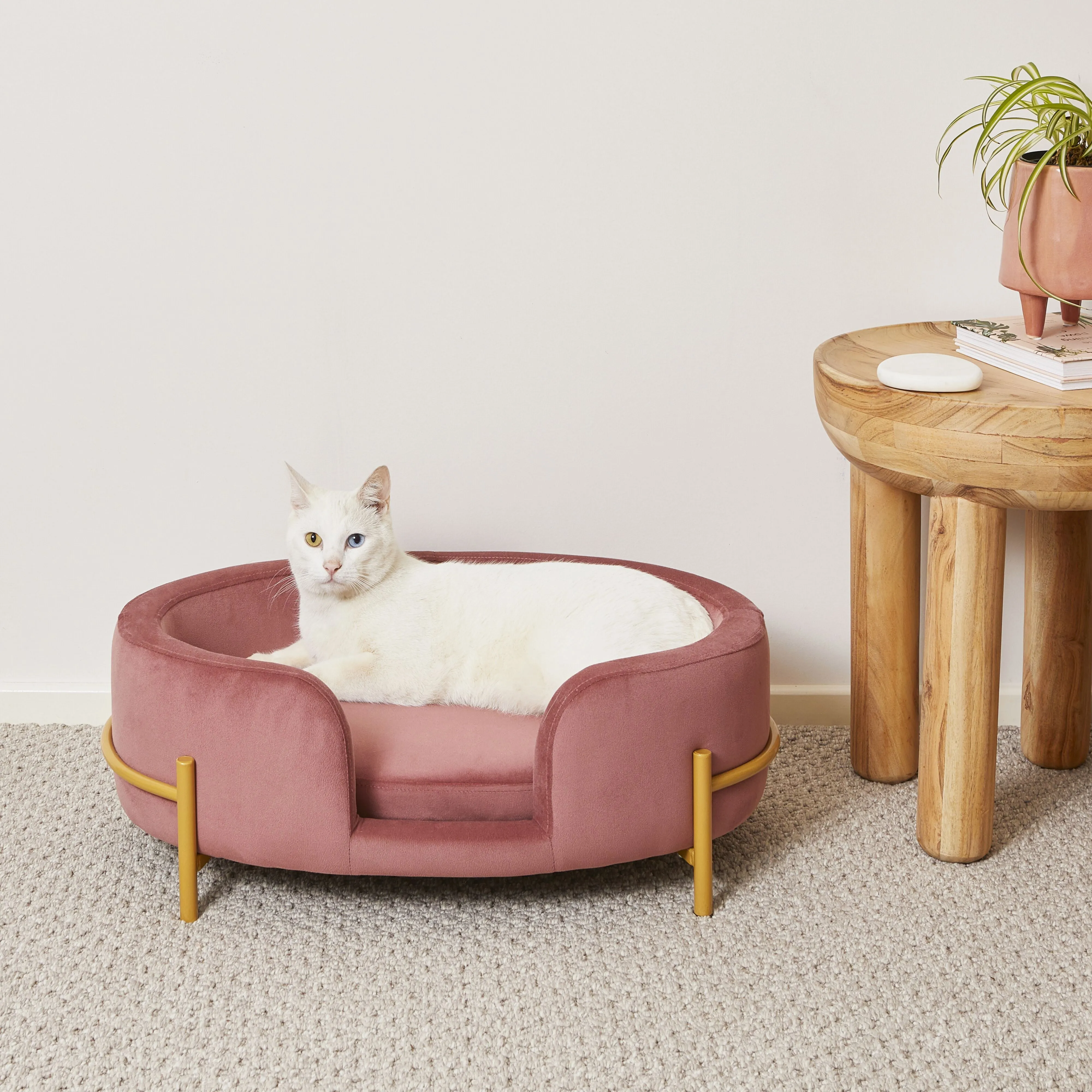 Oval Velvet Pet Bed Rose 64x41x24cm