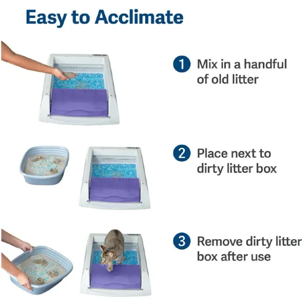 PetSafe ScoopFree 27" Purple Automatic Self Cleaning Cat Litter Box
