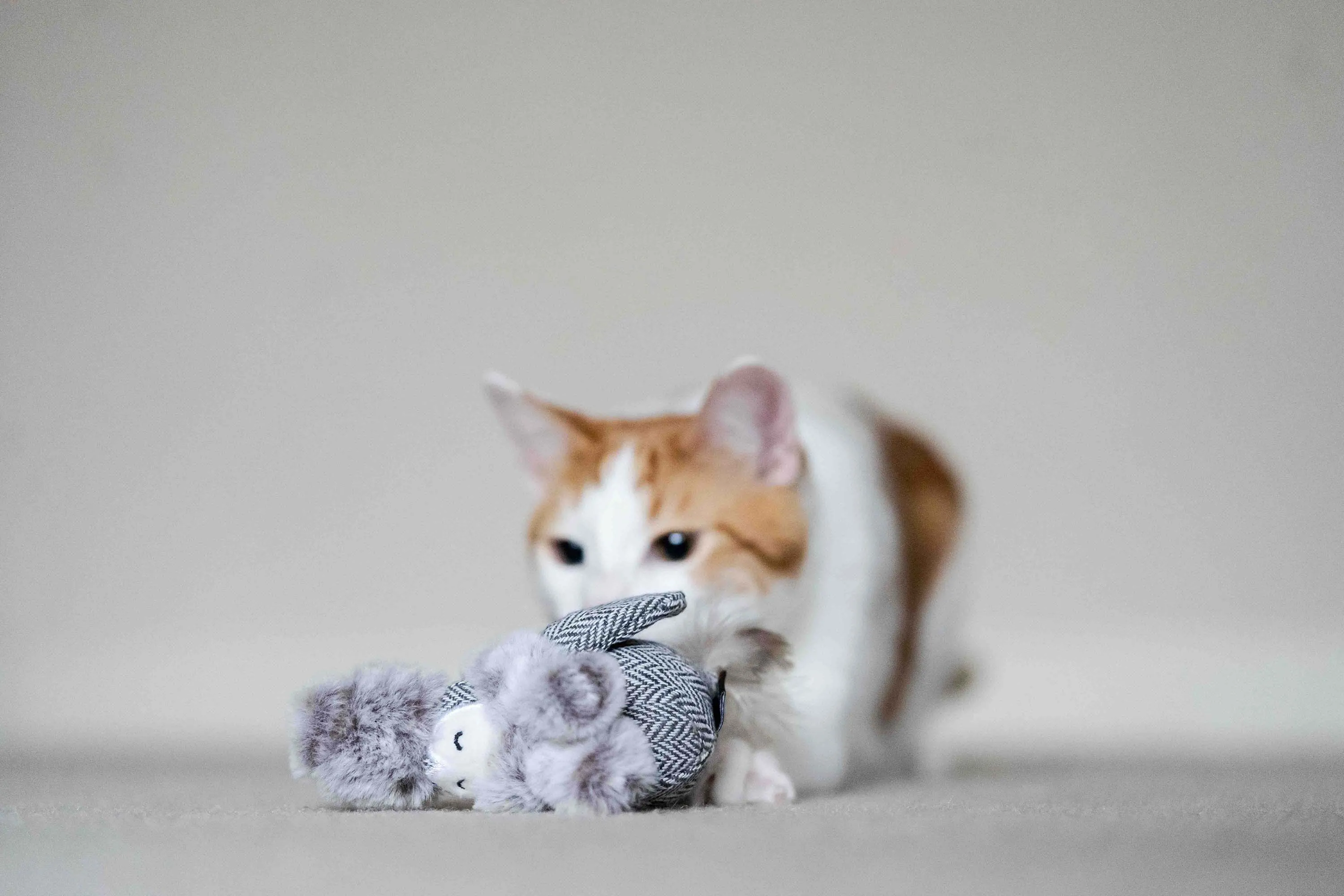 P.L.A.Y. Feline Frenzy, Catnip Toy set: Blissful Birdie