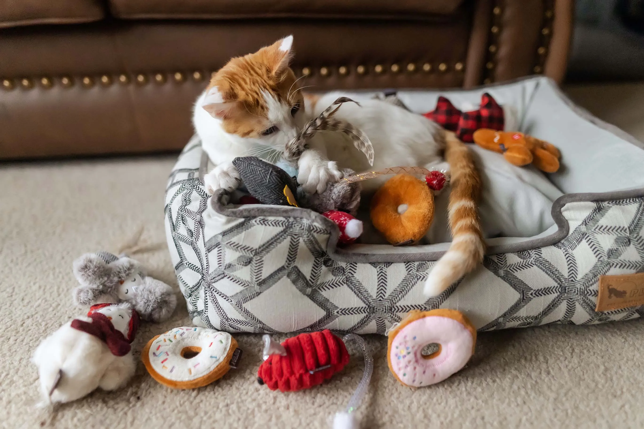 P.L.A.Y. Feline Frenzy, Catnip Toy set: Blissful Birdie