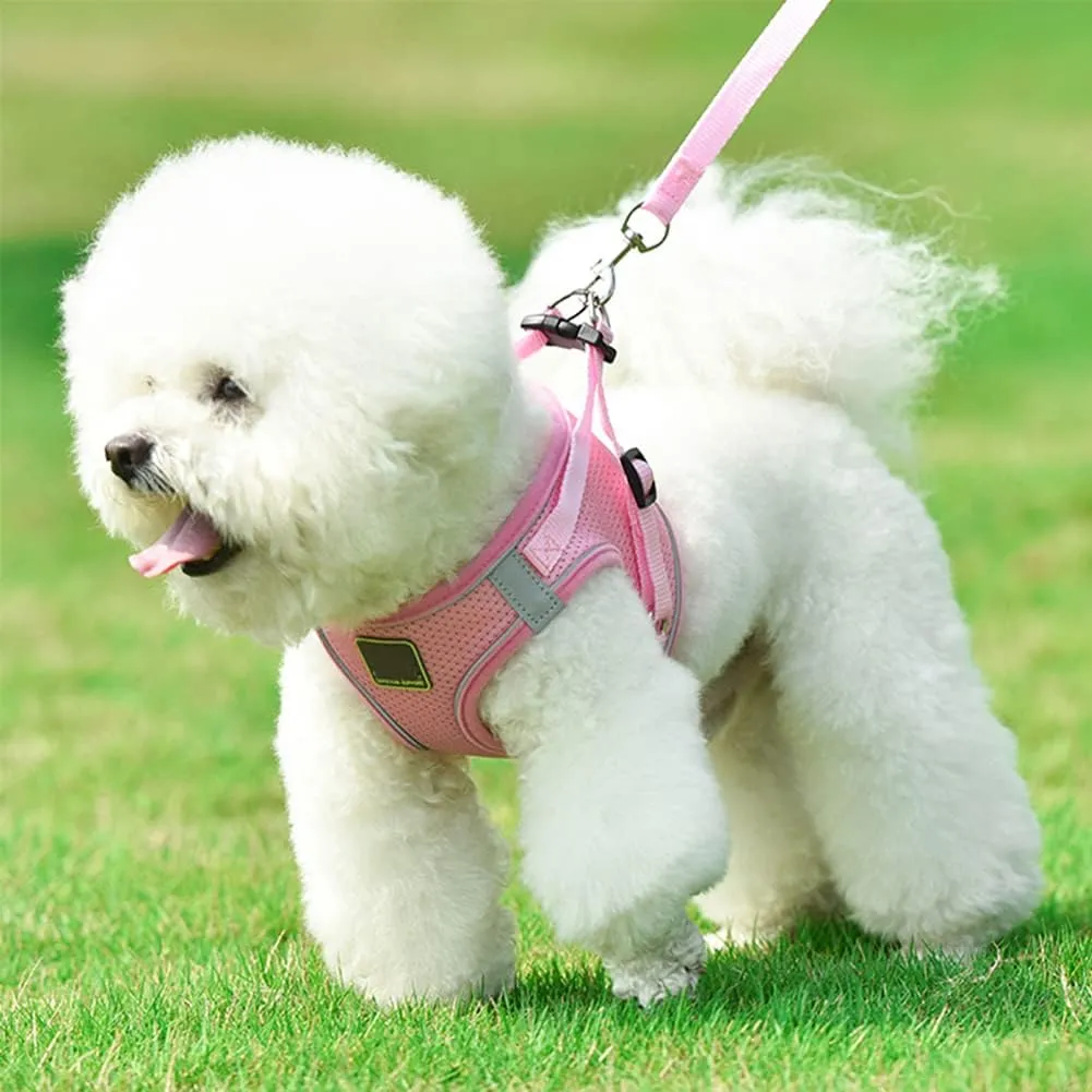 Puppy Harness and Leash Set, Escape Proof Dog Cat Vest Harness for Cats Small Medium Dogs, Adjustable Reflective Step in Harness,Soft Mesh Comfort Fit No Pull No Choke (Small(11.8"-13.3"), Pink)