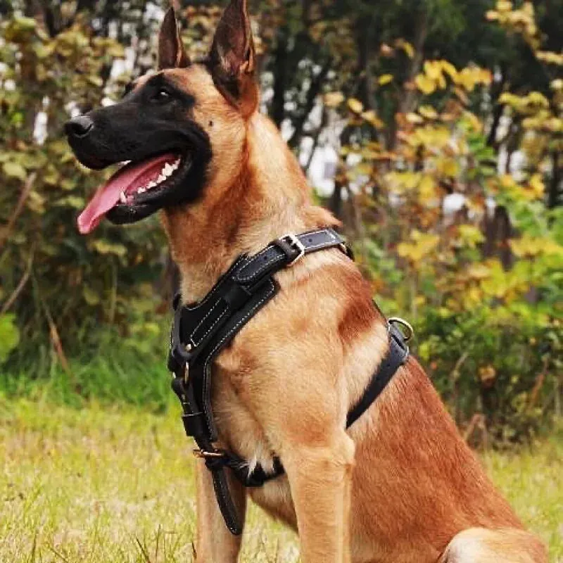 Real Leather Dog Harness with Leash Adjustable Strap German Shepherd Labrador Pitbull Husky Training Dog Vest Pet Products