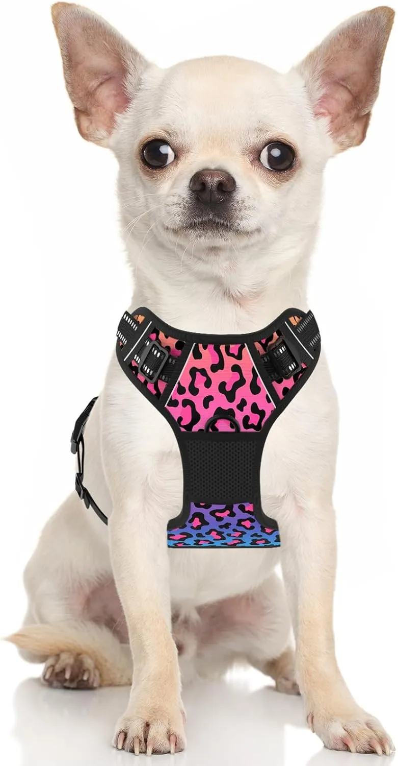 Rnivvi No Pull Dog Harness, Cute Leopard Reflective Small Sized Puppy Kitten Harness, Adjustable Soft Padded Vest for Small Dogs, Cats, Heavy Duty Pet Vest with Easy Control Handle for Walking, Neon