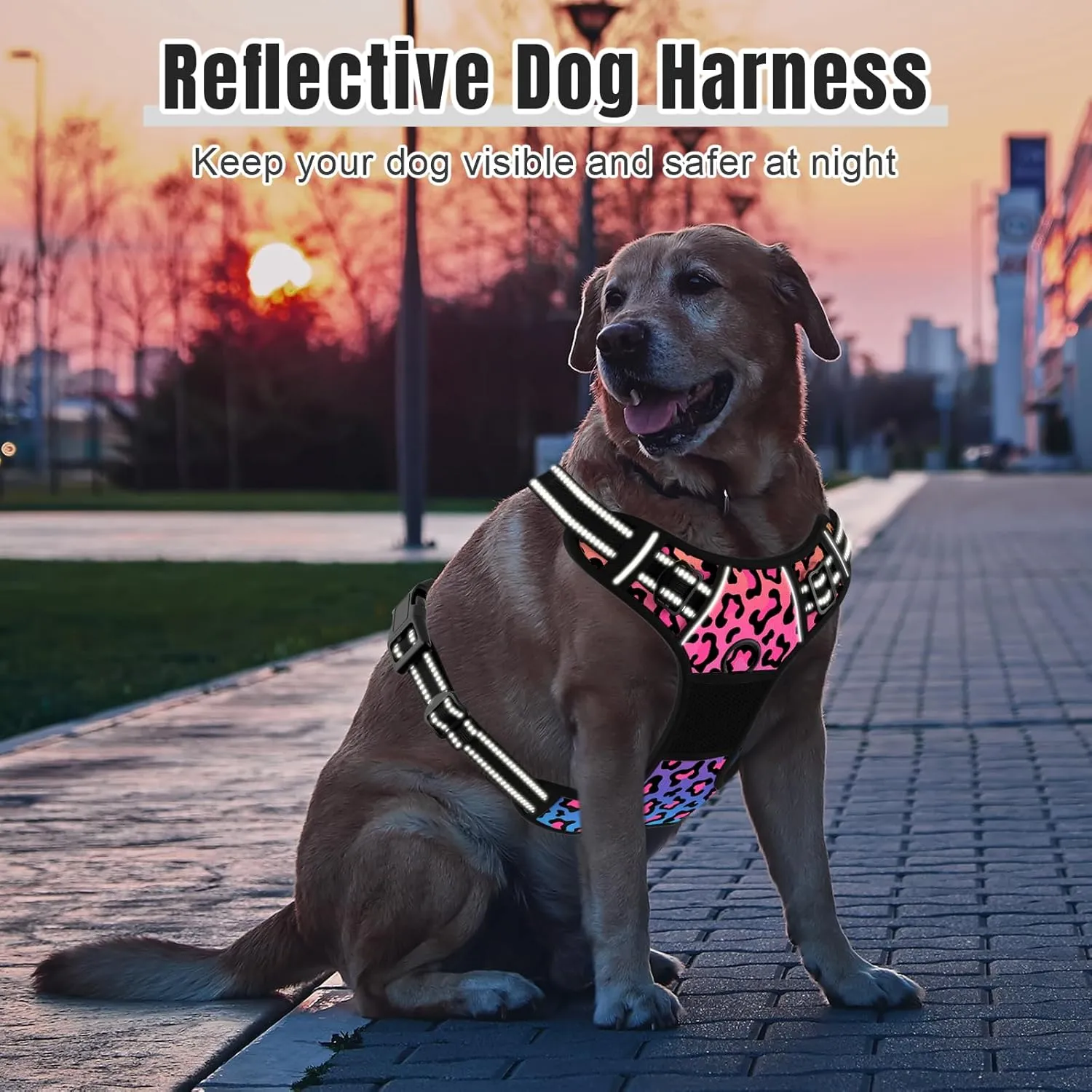 Rnivvi No Pull Dog Harness, Cute Leopard Reflective Small Sized Puppy Kitten Harness, Adjustable Soft Padded Vest for Small Dogs, Cats, Heavy Duty Pet Vest with Easy Control Handle for Walking, Neon