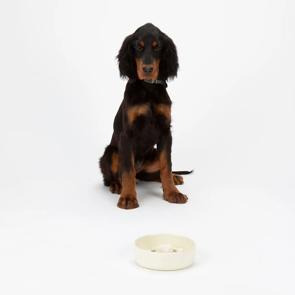 Scruffs - Icon Slow Feeder Pet Bowl Cream (16cm)