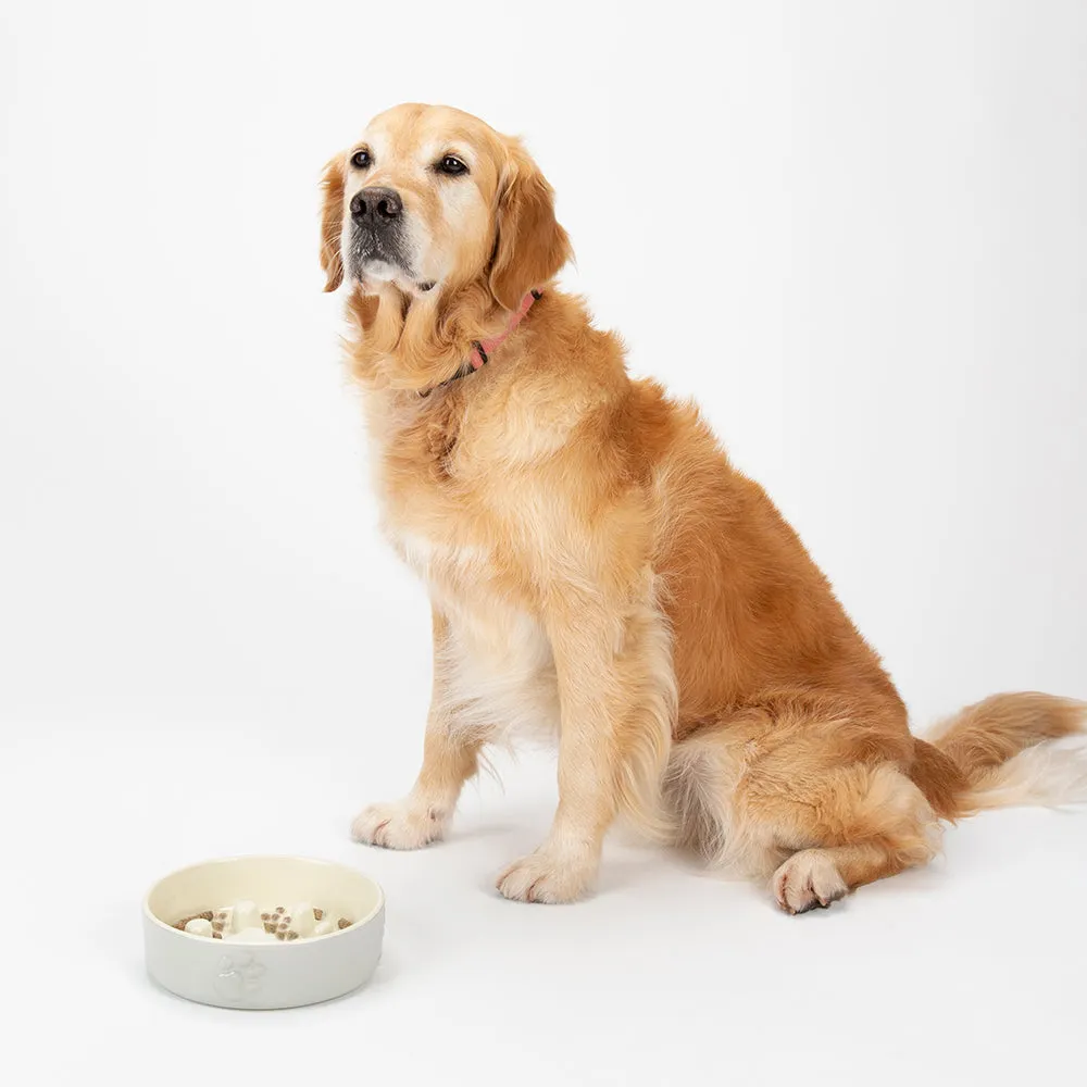 Scruffs - Icon Slow Feeder Pet Bowl Light Grey (20cm)