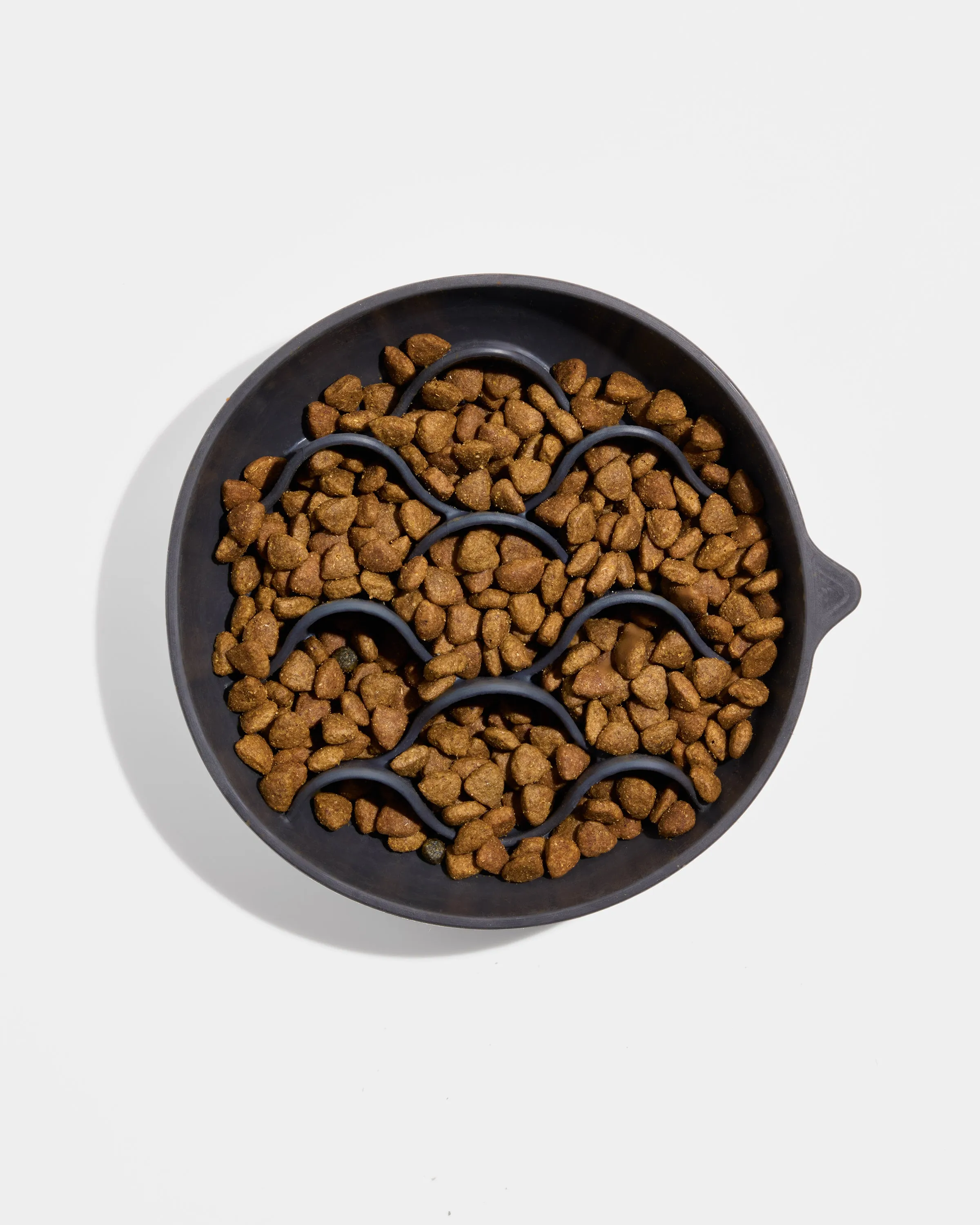 Slow Feeder