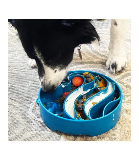 SodaPup Enrichment Slow Feeder Bowl For Dogs (Round / Blue Wave)