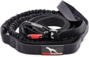 Sport-HF Dual Padded Handle 10' Hands Free Waist Bungee Dog Leash for Walking, Jogging, Running, Canicross