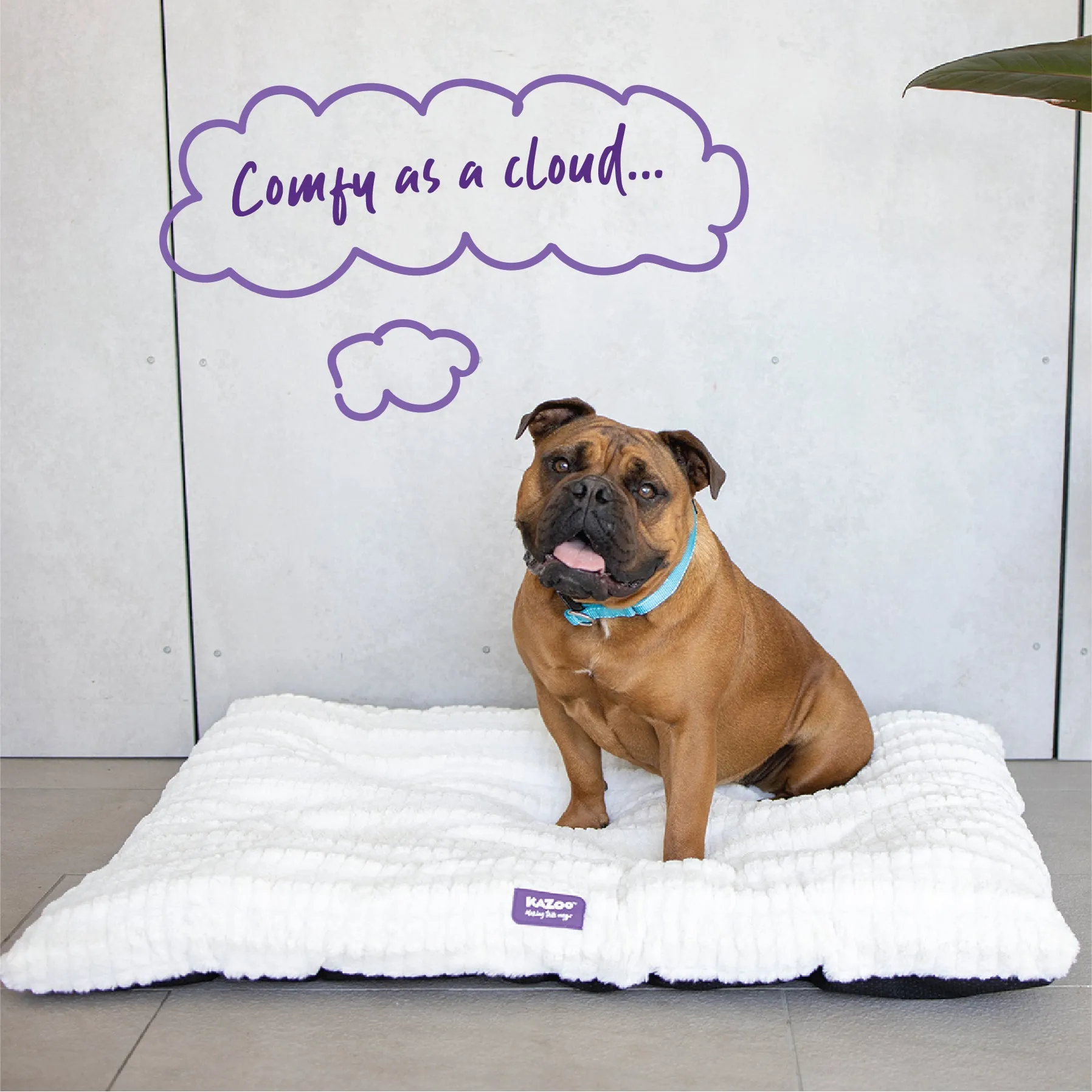 Storm Dog Pillow - Cream