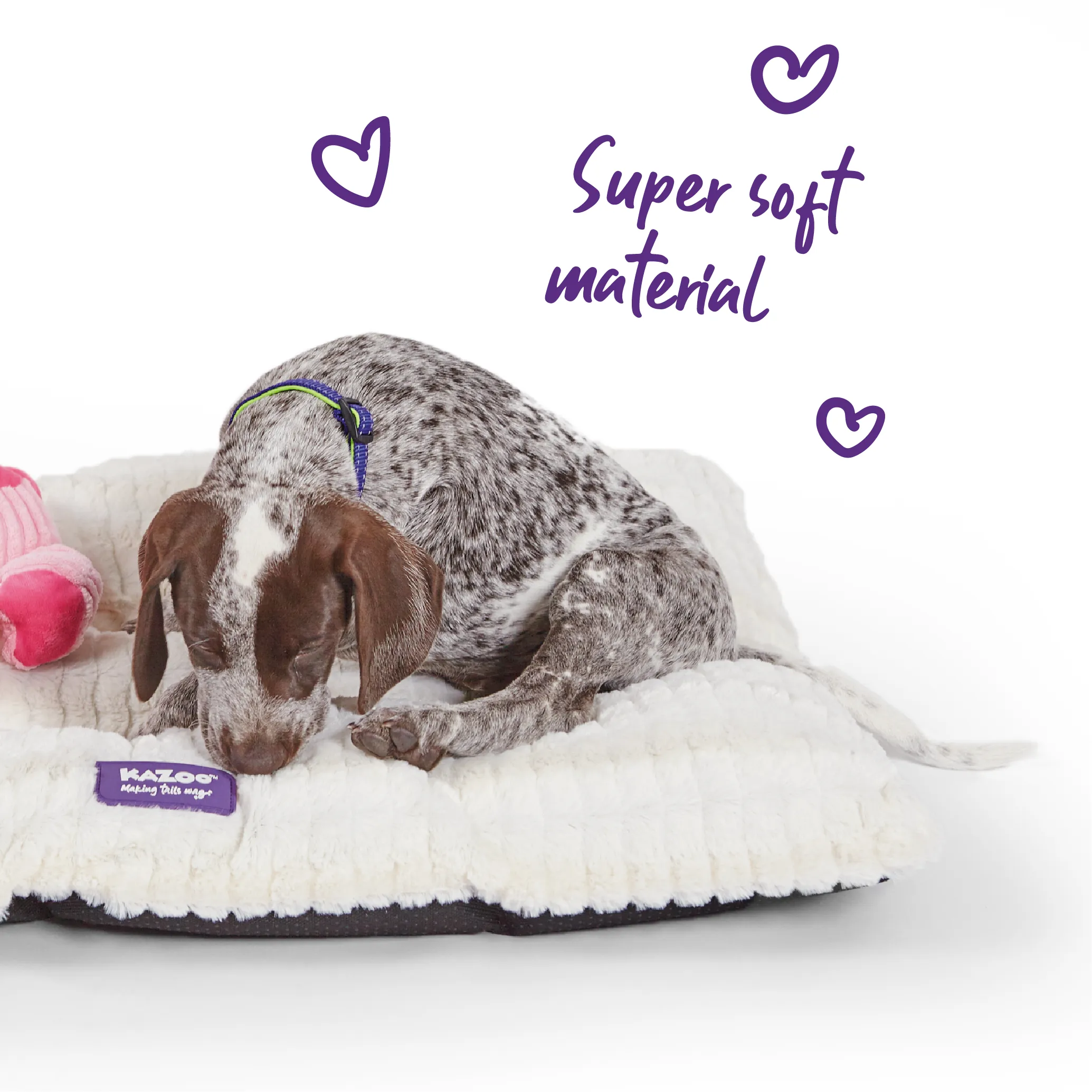 Storm Dog Pillow - Cream