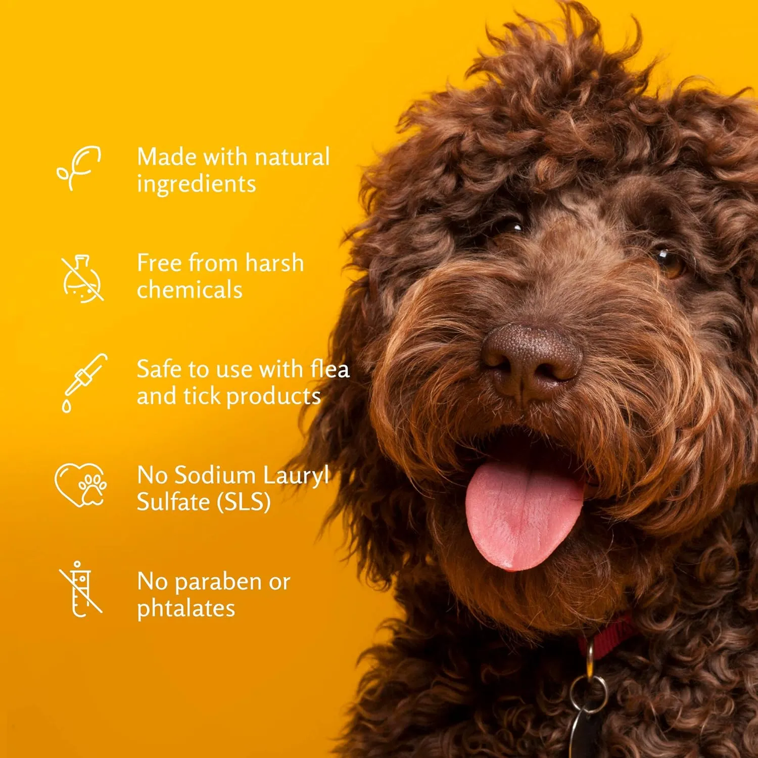 Super Deodorizing Spray for Dogs