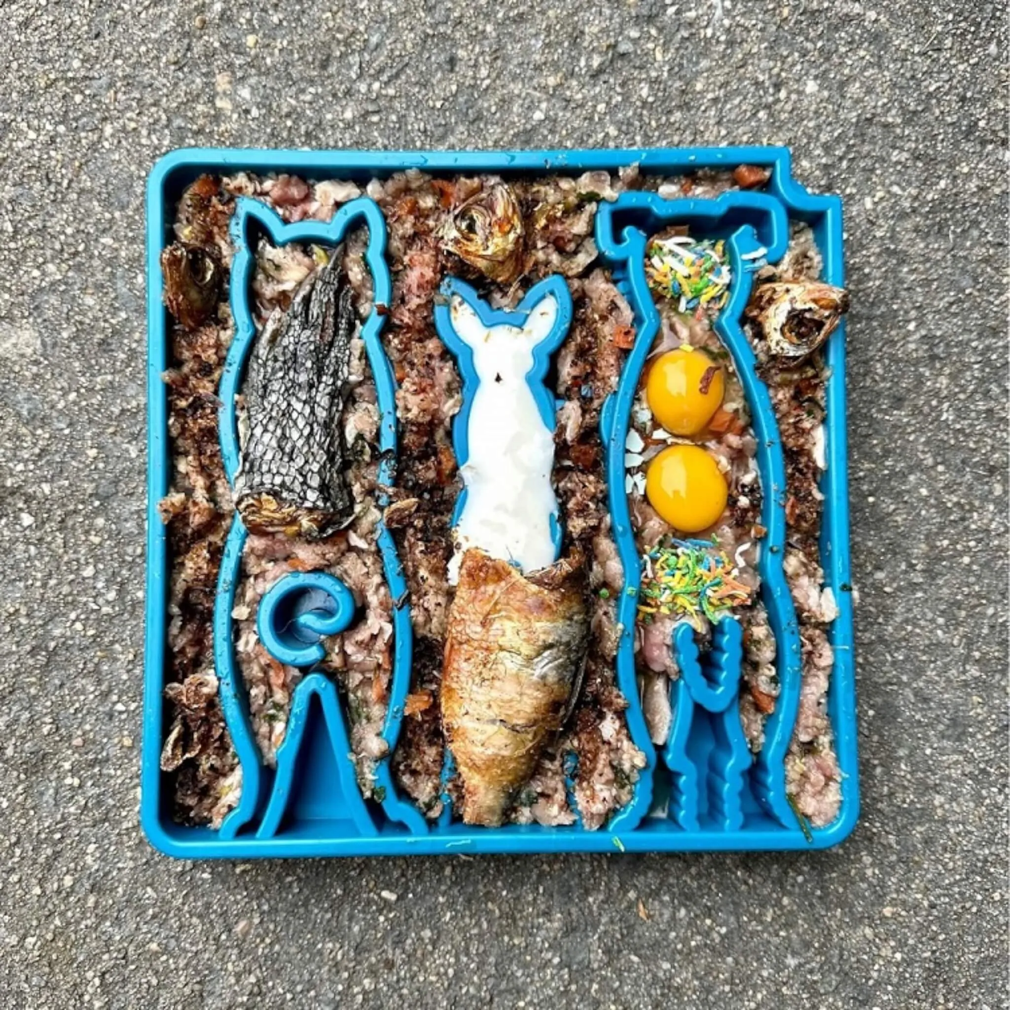 Waiting Dogs Design Mandala Enrichment Tray for Dogs