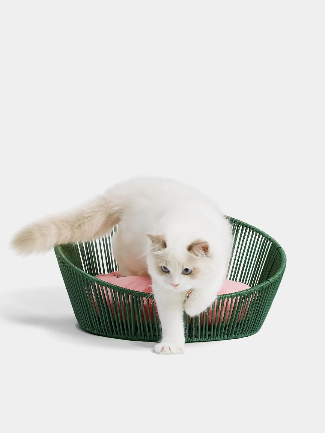 Watermelon Rattan Pet Bed